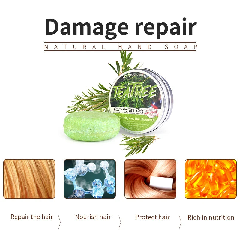 TEA TREE Organic Shampoo Bar, Oil & Dandruff Control, Strong Thick Hair